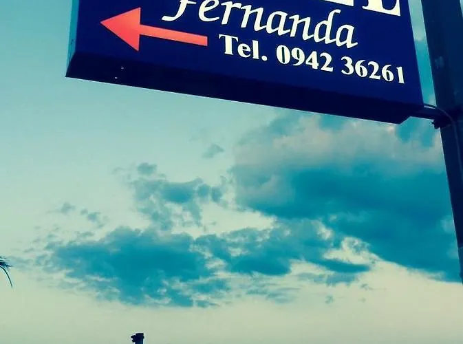 Fernanda 勒托阳尼